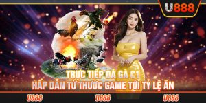 Trực tiếp đá gà C1